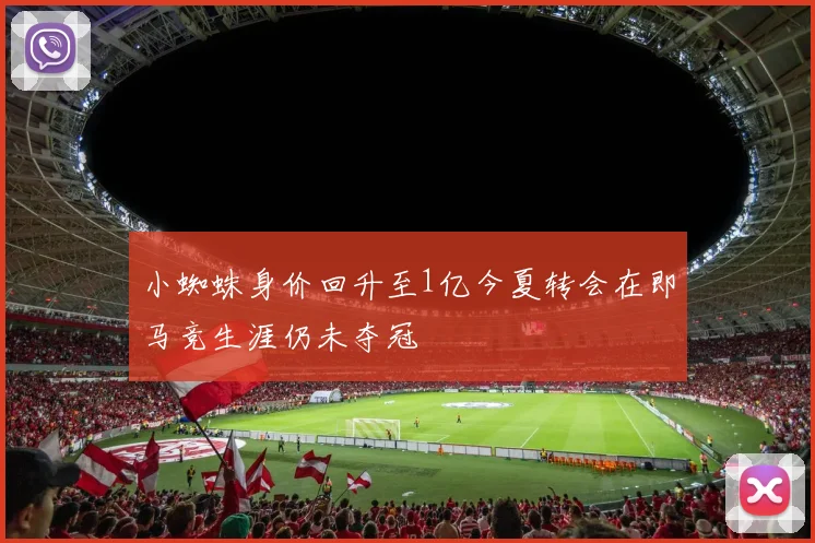 小蜘蛛身价回升至1亿今夏转会在即马竞生涯仍未夺冠